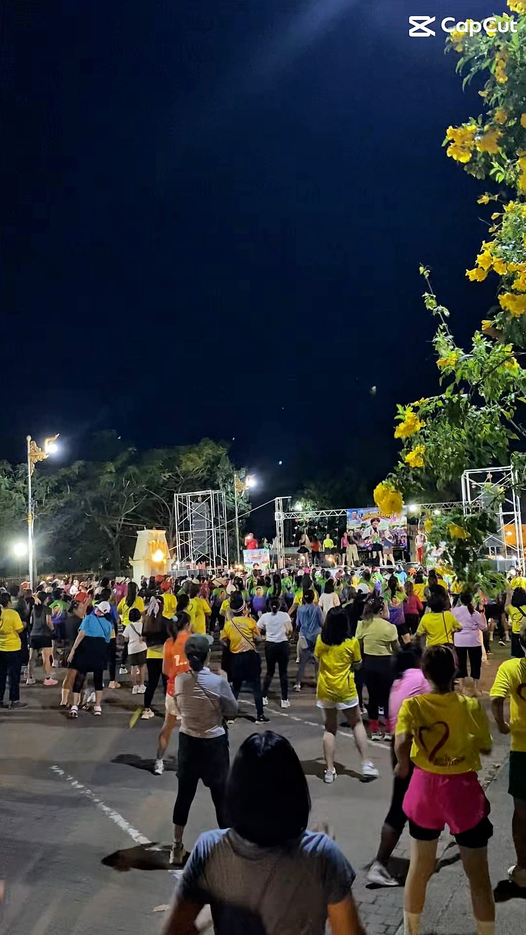 เทศบาลตำบลธาตุพนม